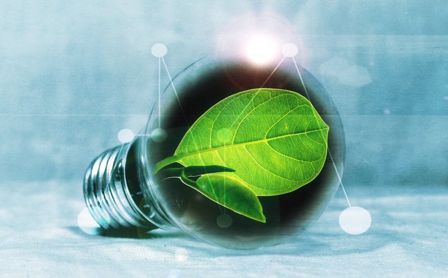 A lightbulb with a green leaf inside is positioned on its side in front of a greyish blue background.
