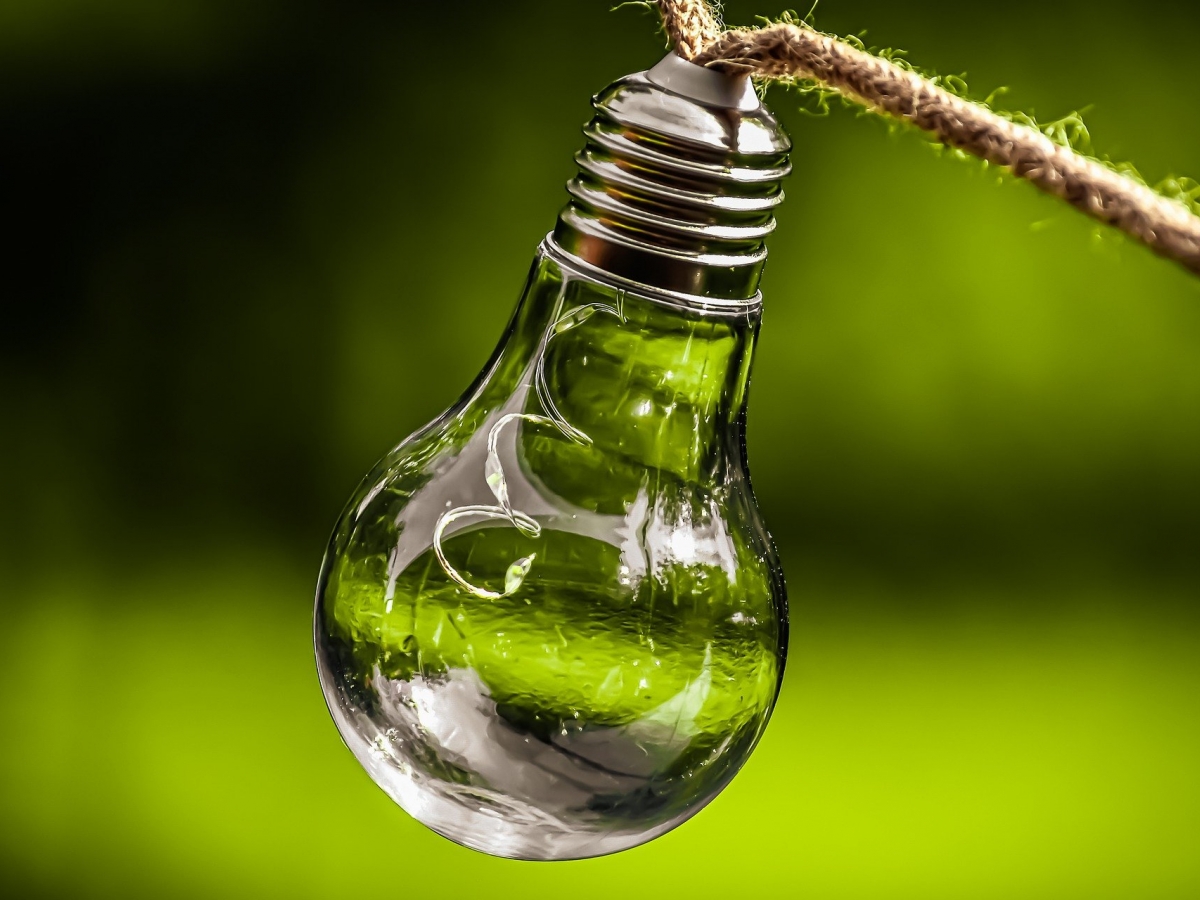 A lightbulb hanging from a string is in the foreground with a blurred background of greenery.